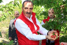 milyonlarca-kiraz-agaci-ihracat-rekoru-kirmak-icin-1-hafta-onceden-meyvelerini-verdi-9aLuxEgH.jpg