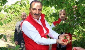 milyonlarca-kiraz-agaci-ihracat-rekoru-kirmak-icin-1-hafta-onceden-meyvelerini-verdi-9aLuxEgH.jpg