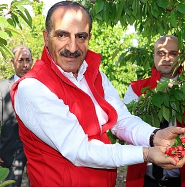 milyonlarca-kiraz-agaci-ihracat-rekoru-kirmak-icin-1-hafta-onceden-meyvelerini-verdi-9aLuxEgH.jpg
