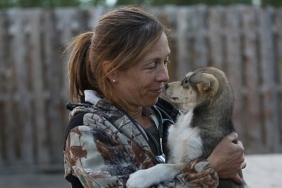 yukon-veterinerine-saygi-ozel-bolumu-national-geographic-wild-ekranlarinda-anGqsrpx.jpg