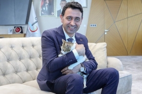 bayrakli-belediye-baskani-irfan-onal-yarali-kediye-sahip-cikti-sahiplenme-cagrisi-yapti-UdrMQavS.jpg