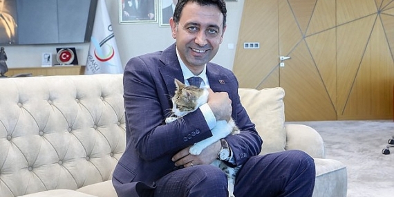 Bayraklı Belediye Başkanı İrfan Önal, yaralı kediye sahip çıktı ‘sahiplenme’ çağrısı yaptı