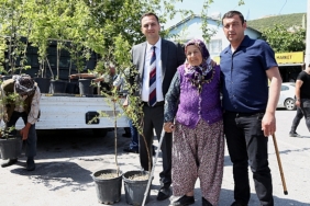 bir-yilda-10-bin-meyve-fidani-dagitilacak-plDGm1NW.jpg