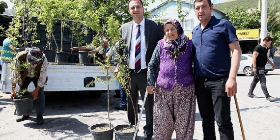 Bir yılda 10 bin meyve fidanı dağıtılacak