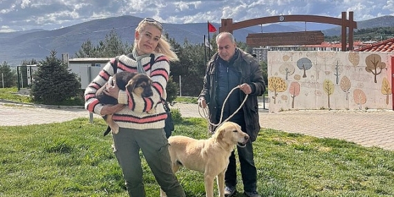 Büyükşehir 3202 Can Dostu Yeni Yuvalarına Kavuşturdu