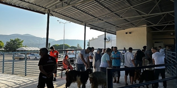 Büyükşehir Mezbahaları Kurban Bayramı’na Hazır