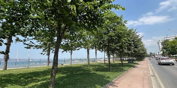 Ihlamur kokusu sardı her yanı