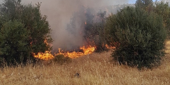 İzmir İtfaiyesi teyakkuzda