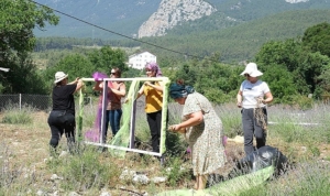 kemerde-lavanta-tanitim-etkinlikleri-basliyor-5PknBUQB.jpg