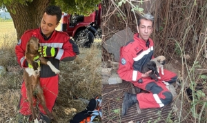 mugla-buyuksehir-itfaiyesinden-hayvan-kurtarma-operasyonu-NtOi3Skr.jpg