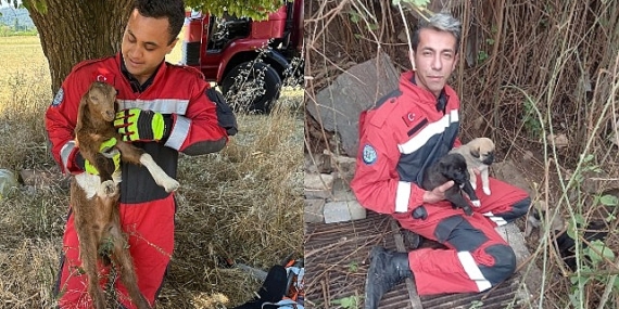 Muğla Büyükşehir İtfaiyesinden Hayvan Kurtarma Operasyonu