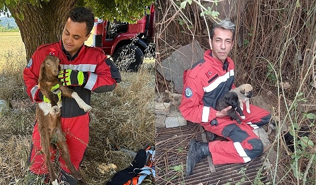 mugla-buyuksehir-itfaiyesinden-hayvan-kurtarma-operasyonu-NtOi3Skr.jpg