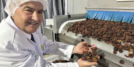 Muhteşem üçlü kuru üzüm, kuru kayısı ve kuru incirin ihracatı 1 milyar doları aştı