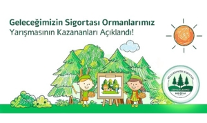 neova-sigorta-gelecegimizin-sigortasi-ormanlarimiz-projesi-resim-yarismasinin-sonuclarini-acikladi-hOFrKddC.jpg