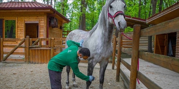 Ormanya bayramda ziyaretçilerini bekliyor