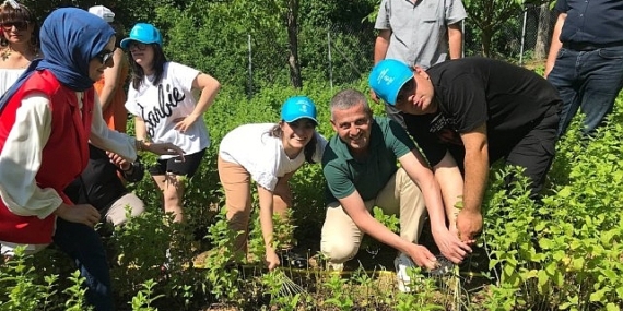 Özel çocuklarımız sebze ve aromatik bitki yetiştiriyor