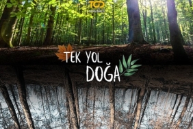 todda-haziranda-yaz-senligi-var-uvb6KpZv.jpg