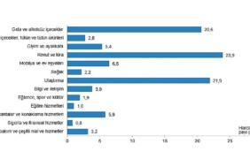 tuik-hanehalki-butcesinden-en-fazla-pay-konut-ve-kira-harcamalarina-ayrildi-t51arZ2r.jpg