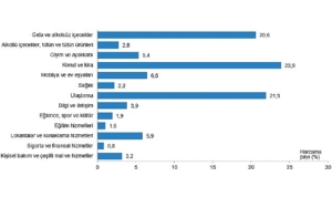 tuik-hanehalki-butcesinden-en-fazla-pay-konut-ve-kira-harcamalarina-ayrildi-t51arZ2r.jpg