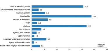 tuik-hanehalki-butcesinden-en-fazla-pay-konut-ve-kira-harcamalarina-ayrildi-t51arZ2r.jpg