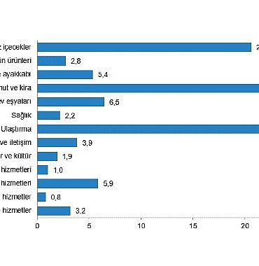 tuik-hanehalki-butcesinden-en-fazla-pay-konut-ve-kira-harcamalarina-ayrildi-t51arZ2r.jpg