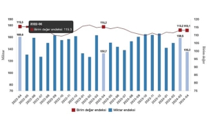 tuik-ihracat-birim-deger-endeksi-19-azaldi-7hdIvm3w.jpg