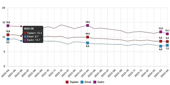Tüik: Mevsim etkisinden arındırılmış işsizlik oranı %8,5 seviyesinde gerçekleşti