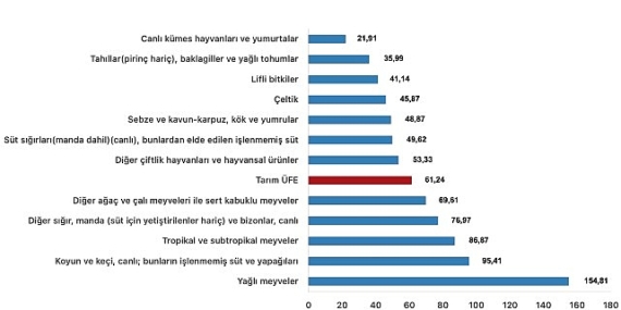 Tüik: Tarım ürünleri üretici fiyat endeksi (Tarım-ÜFE) yıllık %61,24 arttı, aylık %0,91 azaldı