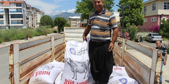 Büyükşehir’den Gazipaşa ve Elmalılı üreticilere yem desteği