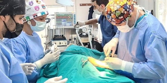 En fazla sokak hayvanını Osmangazi Belediyesi kısırlaştırdı