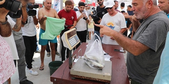 İstilacı balon balığını yakalamak için yarıştılar
