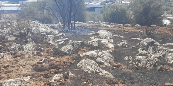 İzmir’de yangın fabrikalara ulaşmadan kontrol altına alındı