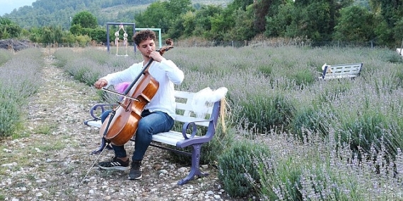 Lavanta bahçesinde çello resitali