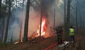 mugla-buyuksehir-orman-yanginlarinda-tum-gucuyle-sahada-kQCQnMQR.jpg