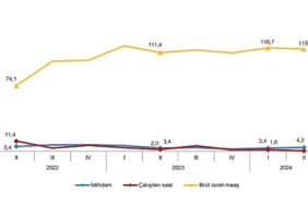 tuik-istihdam-endeksi-yillik-42-artti-9qfnh4t7.jpg