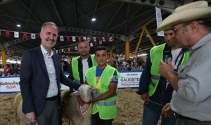 yerli-tavuk-irklari-ile-koclar-inegolde-podyuma-cikacak-6Uk6GvS5.jpg