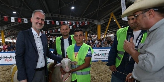 Yerli Tavuk Irkları İle Koçlar İnegöl’de Podyuma Çıkacak