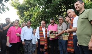 baskan-bocekten-avokado-ve-mango-hasadi-JqEnq1nj.jpg
