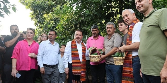 Başkan Böcek’ten avokado ve mango hasadı