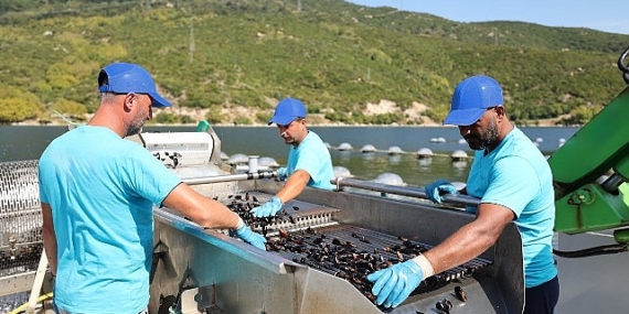 CarrefourSA’dan Mavi Ekonomi ile Sürdürülebilir Deniz Ürünleri Atağı