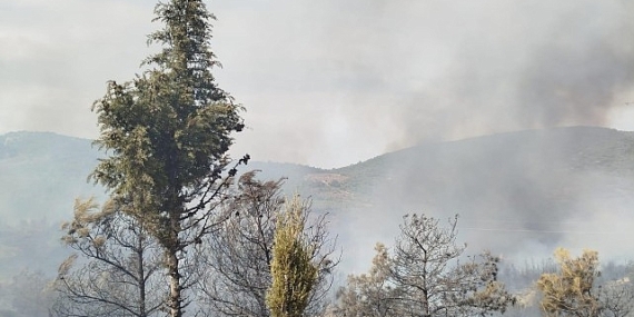 Foça yangını kontrol altına alındı