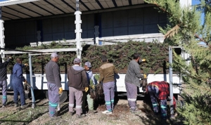 nevsehir-tarihinin-en-buyuk-agaclandirma-seferberligi-basliyor-PPLhWwO2.jpg
