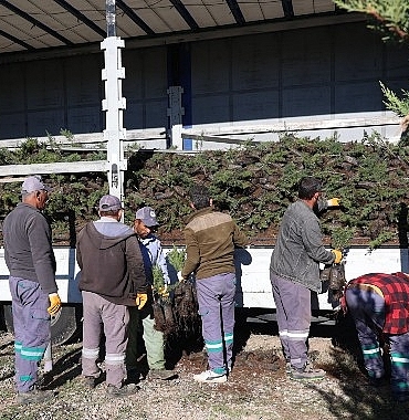nevsehir-tarihinin-en-buyuk-agaclandirma-seferberligi-basliyor-PPLhWwO2.jpg