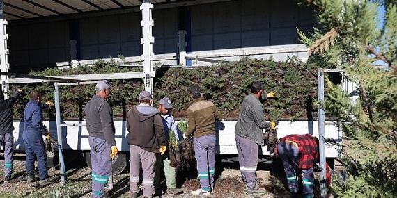 Nevşehir tarihinin en büyük ağaçlandırma seferberliği başlıyor.
