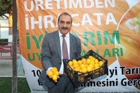 satsuma-mandalina-yuklu-tirlar-ihracata-yolcu-edildi-M5dh3uit.jpg