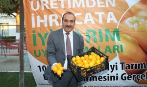 satsuma-mandalina-yuklu-tirlar-ihracata-yolcu-edildi-M5dh3uit.jpg