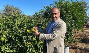 satsuma-mandalinanin-ihracat-yolculugu-18-ekimde-basliyor-8aSTs2L2.jpg