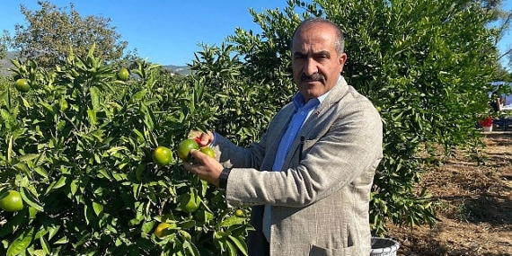 Satsuma mandalinanın ihracat yolculuğu 18 Ekim’de başlıyor