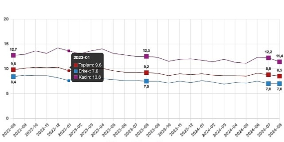 Tüik: Mevsim etkisinden arındırılmış işsizlik oranı %8,5 seviyesinde gerçekleşti