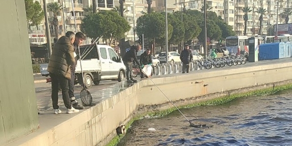 Başkan Tugay bakanlık yetkililerini göreve çağırdı “Bu ihanetin gereğini yapın”